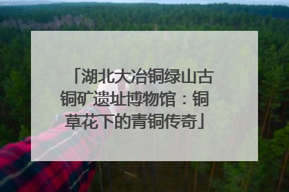 湖北大冶铜绿山古铜矿遗址博物馆：铜草花下的青铜传奇