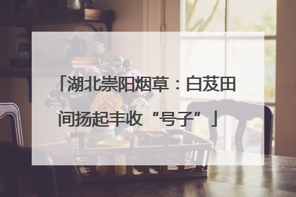 湖北崇阳烟草：白芨田间扬起丰收“号子”