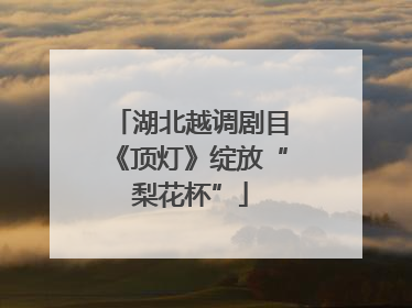 湖北越调剧目《顶灯》绽放“梨花杯”