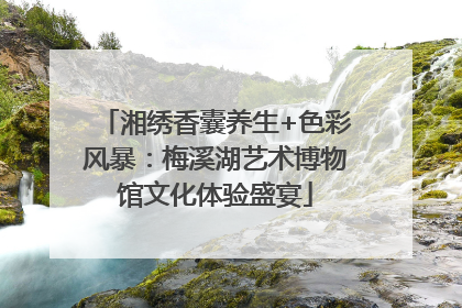湘绣香囊养生+色彩风暴：梅溪湖艺术博物馆文化体验盛宴