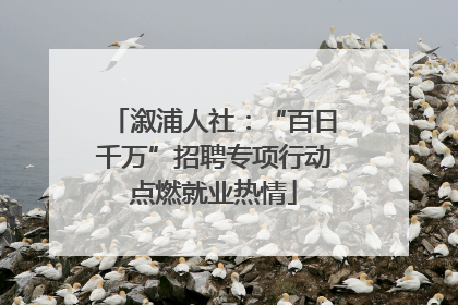 溆浦人社：“百日千万”招聘专项行动点燃就业热情
