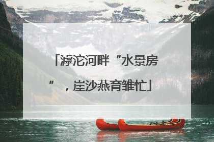 滹沱河畔“水景房”，崖沙燕育雏忙