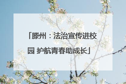 滕州：法治宣传进校园 护航青春助成长