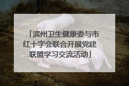 滨州卫生健康委与市红十字会联合开展党建联盟学习交流活动
