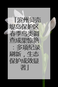 滨州贝壳堤岛保护区春季鸟类调查成果惊艳：多项纪录刷新，生态保护成效显著