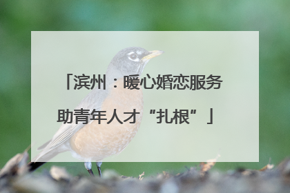 滨州：暖心婚恋服务助青年人才“扎根”