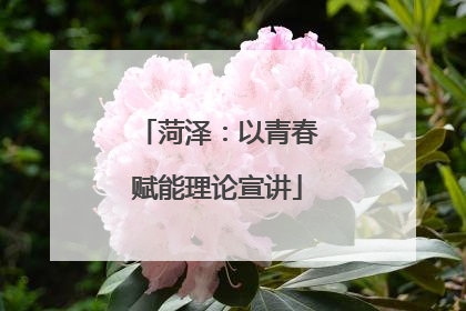 菏泽：以青春赋能理论宣讲