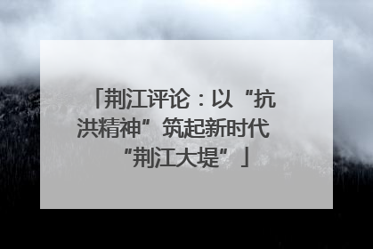 荆江评论：以“抗洪精神”筑起新时代“荆江大堤”