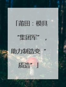 莆田：模具“集团军”，助力制造变“质造”