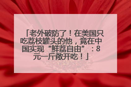 老外破防了！在美国只吃荔枝罐头的他，竟在中国实现“鲜荔自由”：8元一斤敞开吃！
