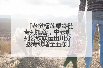 老挝榴莲乘冷链专列抵蓉，中老班列公铁联运出川分拨专线增至五条
