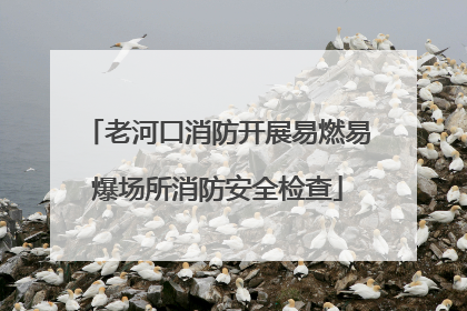 老河口消防开展易燃易爆场所消防安全检查