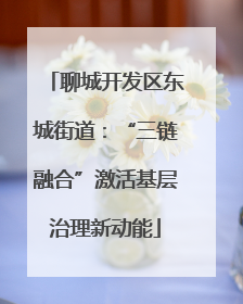 聊城开发区东城街道：“三链融合”激活基层治理新动能