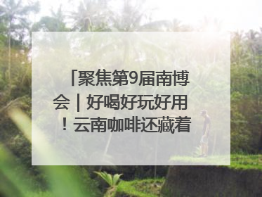 聚焦第9届南博会｜好喝好玩好用！云南咖啡还藏着多少惊喜？