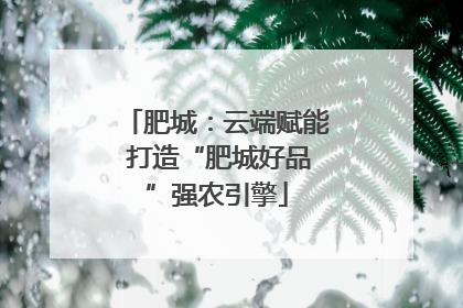 肥城：云端赋能 打造“肥城好品”强农引擎