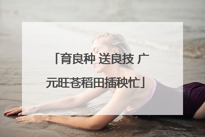 育良种 送良技 广元旺苍稻田插秧忙