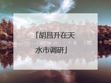 胡昌升在天水市调研