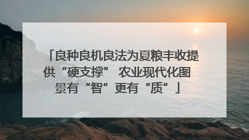 良种良机良法为夏粮丰收提供“硬支撑” 农业现代化图景有“智”更有“质”