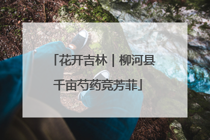 花开吉林｜柳河县千亩芍药竞芳菲