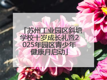 苏州工业园区斜塘学校十岁成长礼暨2025年园区青少年健康月启动