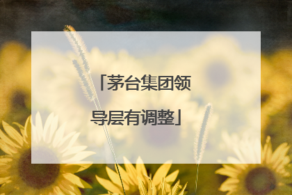 茅台集团领导层有调整