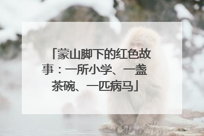 蒙山脚下的红色故事：一所小学、一盏茶碗、一匹病马
