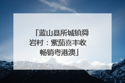 蓝山县所城镇舜岩村：紫茄喜丰收 畅销粤港澳