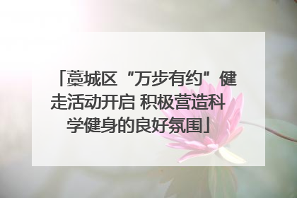 藁城区“万步有约”健走活动开启 积极营造科学健身的良好氛围