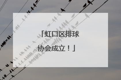 虹口区排球协会成立！