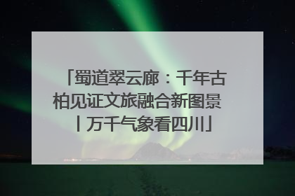 蜀道翠云廊：千年古柏见证文旅融合新图景丨万千气象看四川
