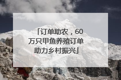 订单助农，60万只甲鱼养殖订单助力乡村振兴