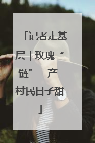 记者走基层｜玫瑰“链”三产 村民日子甜