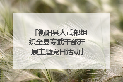 衡阳县人武部组织全县专武干部开展主题党日活动