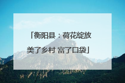 衡阳县：荷花绽放 美了乡村 富了口袋