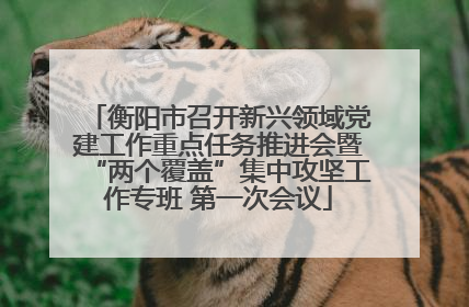 衡阳市召开新兴领域党建工作重点任务推进会暨“两个覆盖”集中攻坚工作专班 第一次会议