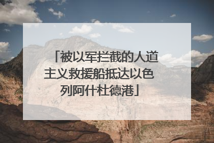 被以军拦截的人道主义救援船抵达以色列阿什杜德港