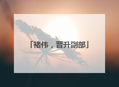 褚伟，晋升副部