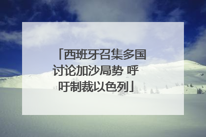 西班牙召集多国讨论加沙局势 呼吁制裁以色列