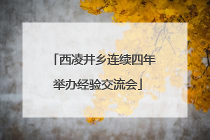 西凌井乡连续四年举办经验交流会