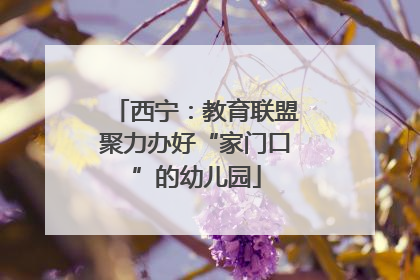 西宁：教育联盟聚力办好“家门口”的幼儿园