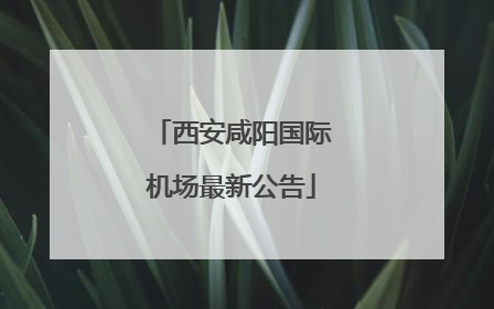 西安咸阳国际机场最新公告