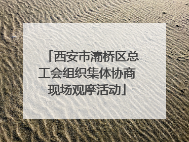 西安市灞桥区总工会组织集体协商现场观摩活动