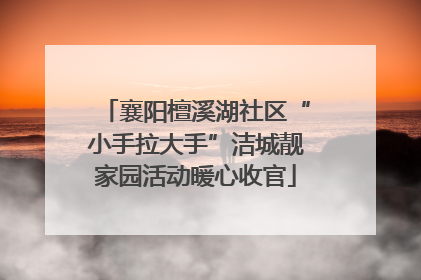 襄阳檀溪湖社区“小手拉大手”洁城靓家园活动暖心收官