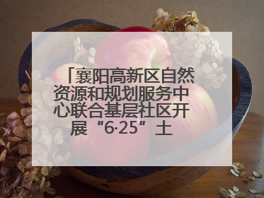襄阳高新区自然资源和规划服务中心联合基层社区开展“6·25”土地日宣传活动