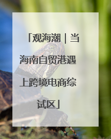 观海潮｜当海南自贸港遇上跨境电商综试区