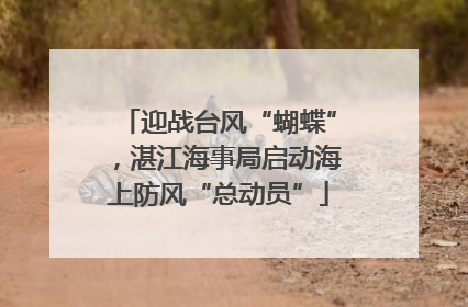 迎战台风“蝴蝶”，湛江海事局启动海上防风“总动员”