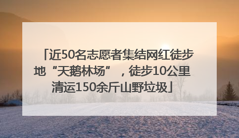 近50名志愿者集结网红徒步地“天鹅林场”，徒步10公里清运150余斤山野垃圾