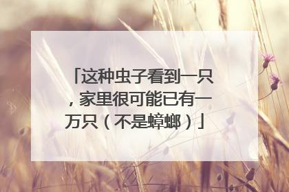 这种虫子看到一只，家里很可能已有一万只（不是蟑螂）