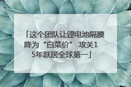 这个团队让锂电池隔膜降为“白菜价” 攻关15年跃居全球第一