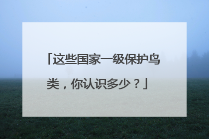 这些国家一级保护鸟类，你认识多少？